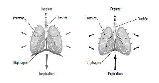 Visuel explication du diaphragme